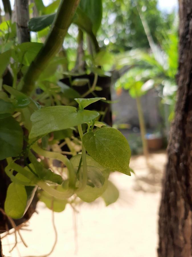 Connect Apartment Phan Thiet Bagian luar foto
