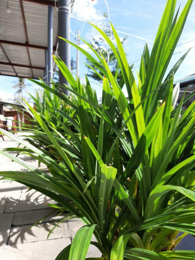 Connect Apartment Phan Thiet Bagian luar foto